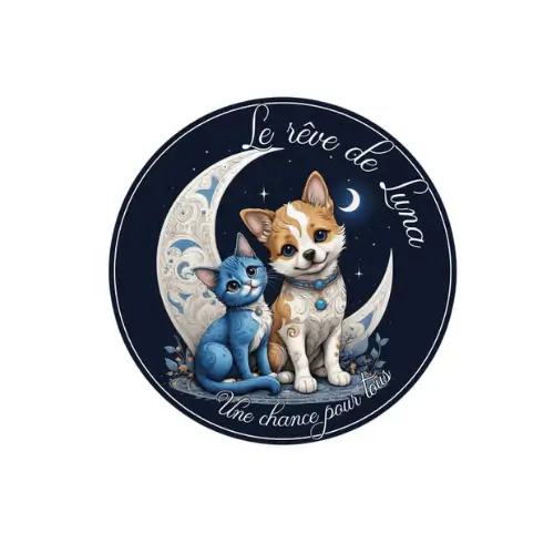 logo de l'association reve de luna